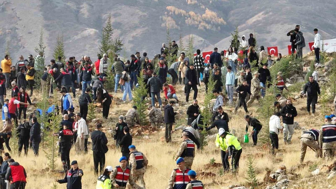 Tunceli'de 3 Bin Fidan Toprakla Buluştu