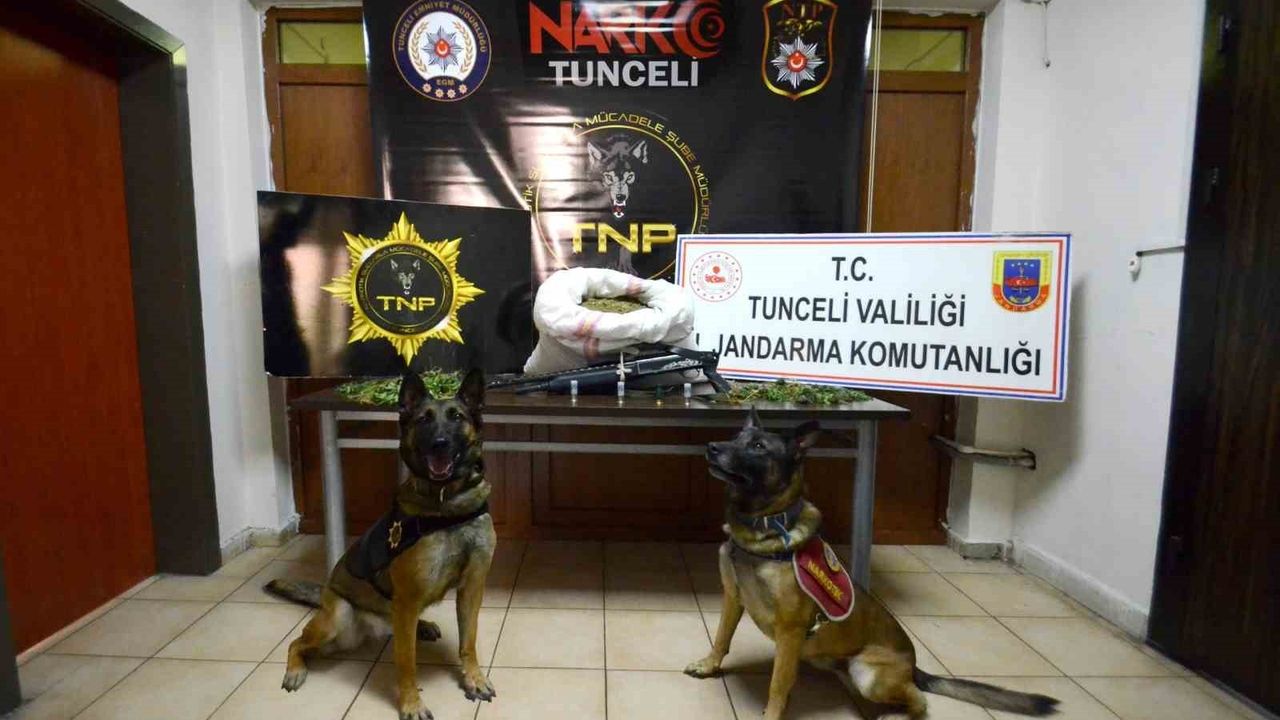 Tunceli Merkezli Uyuşturucu Operasyonu: 23 Kilo Esrar Ele Geçirildi