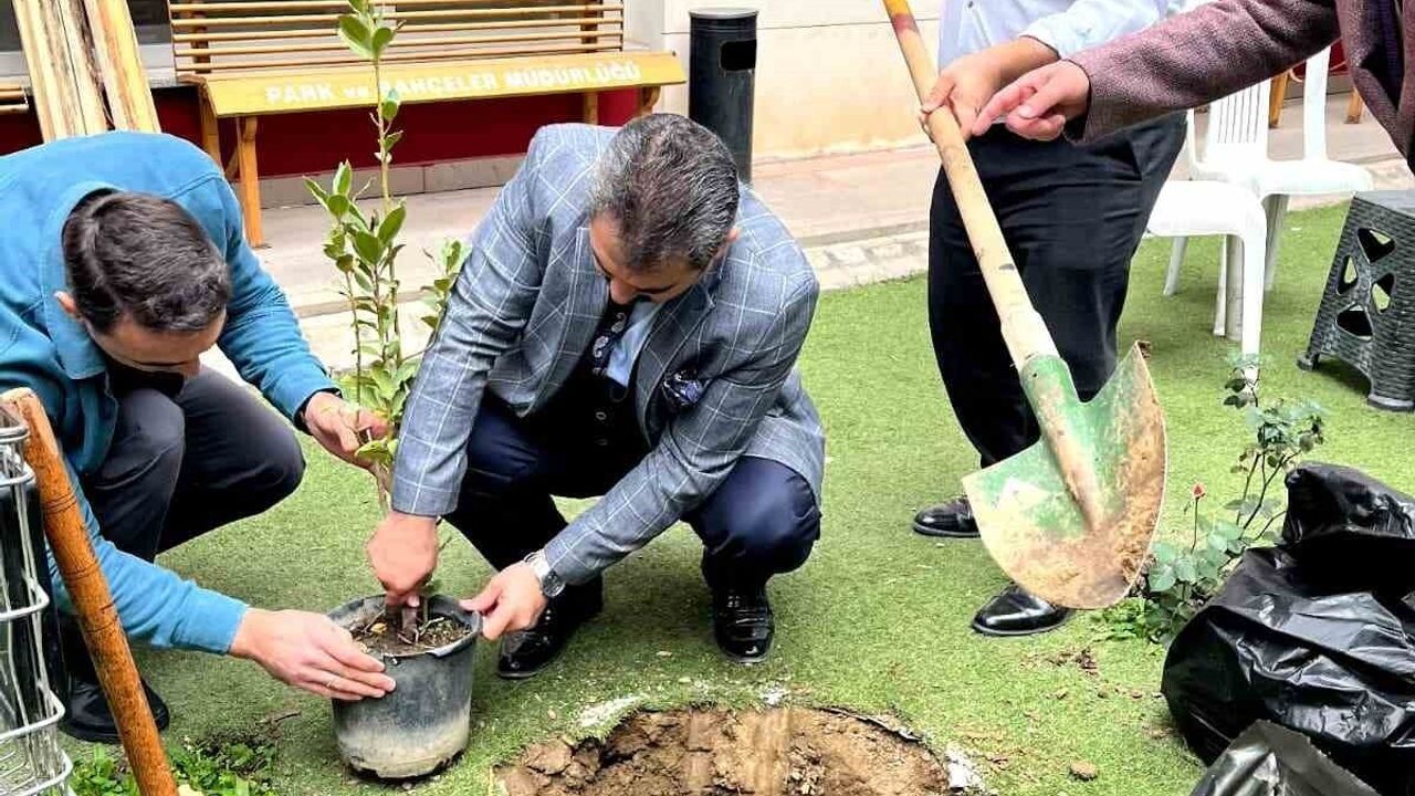 Turgutlu Adliyesi'nde Ağaçlandırma Faaliyetleri