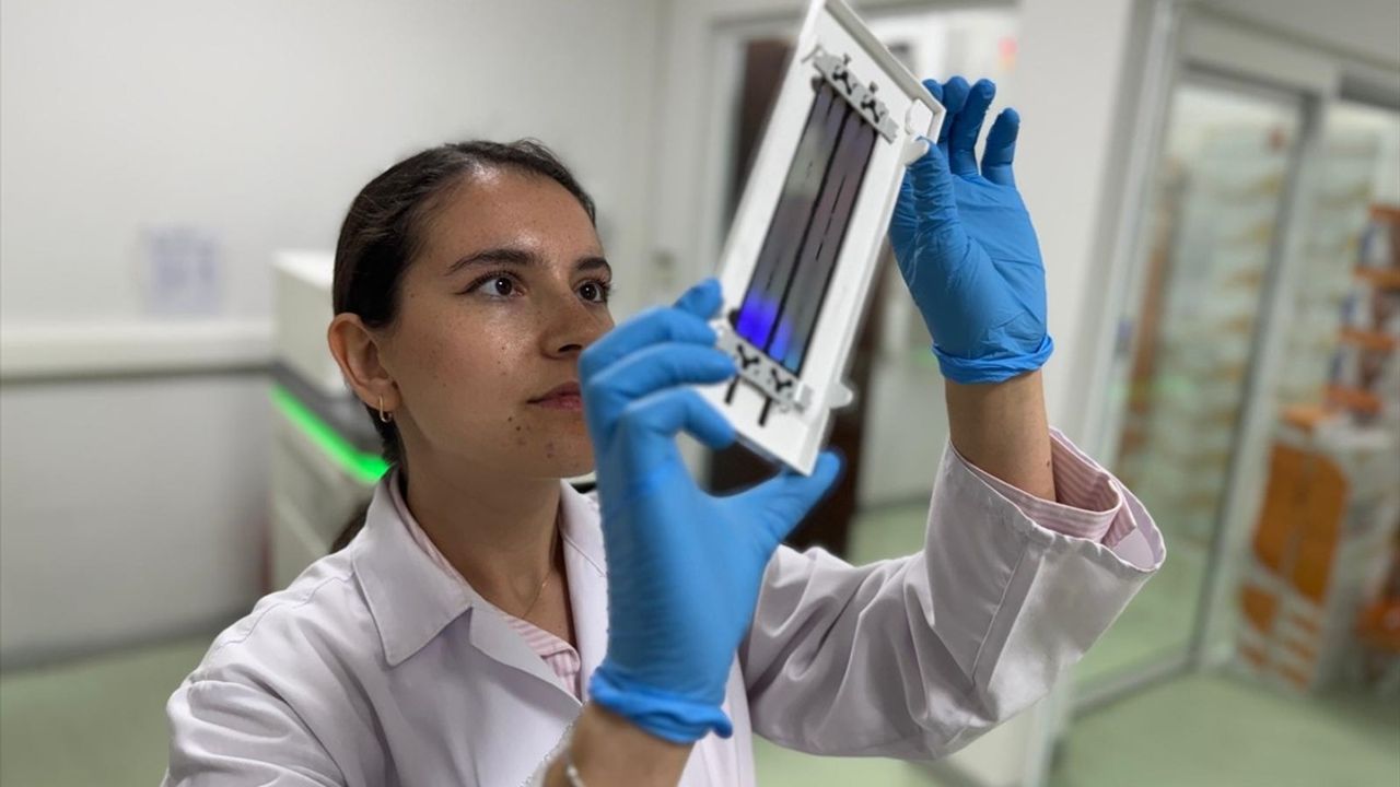 Türk Bilim İnsanları Akciğer Kanserinde Radyoterapiye Yanıtı Belirleyen Genler Tespit Etti