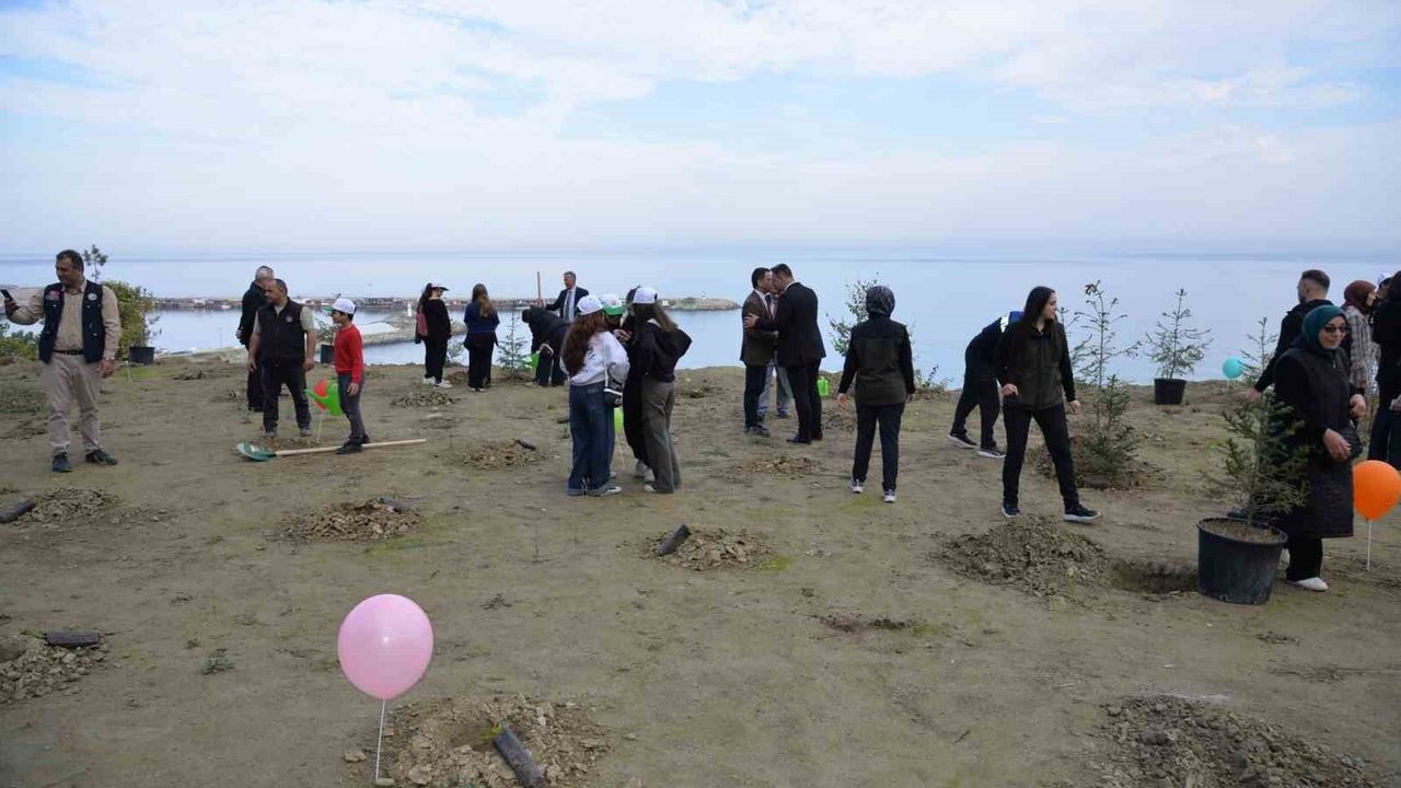 Türkeli'de Fidanlar Toprakla Buluştu