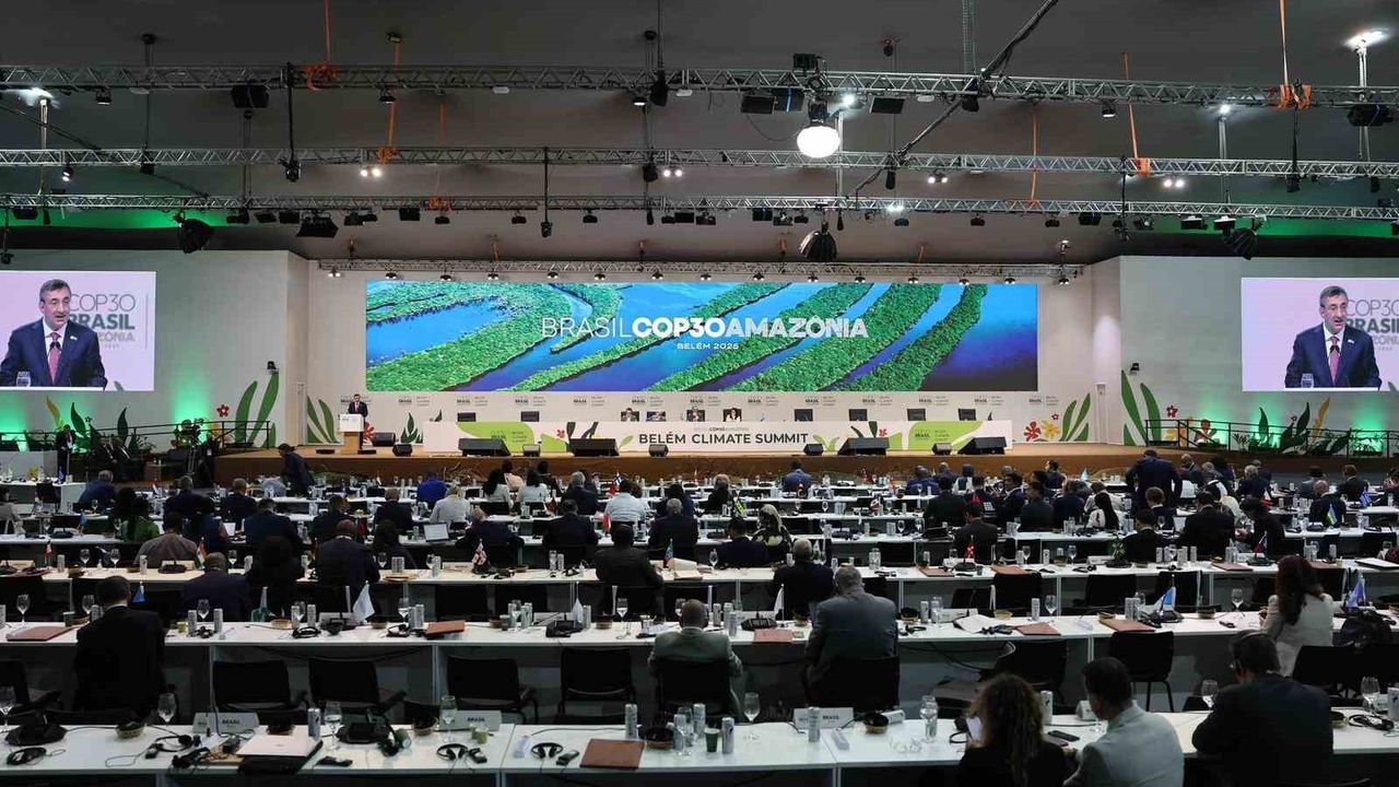 Türkiye İklim Değişikliği Mücadelesinde Köprü Olmaya Hazır