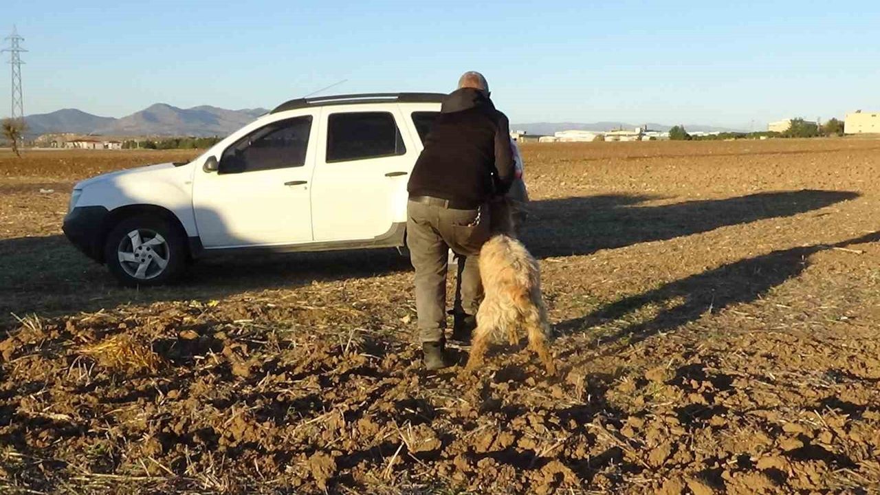 Uşak'ta Dört Metrelik Çukurdan Keçi Kurtarıldı