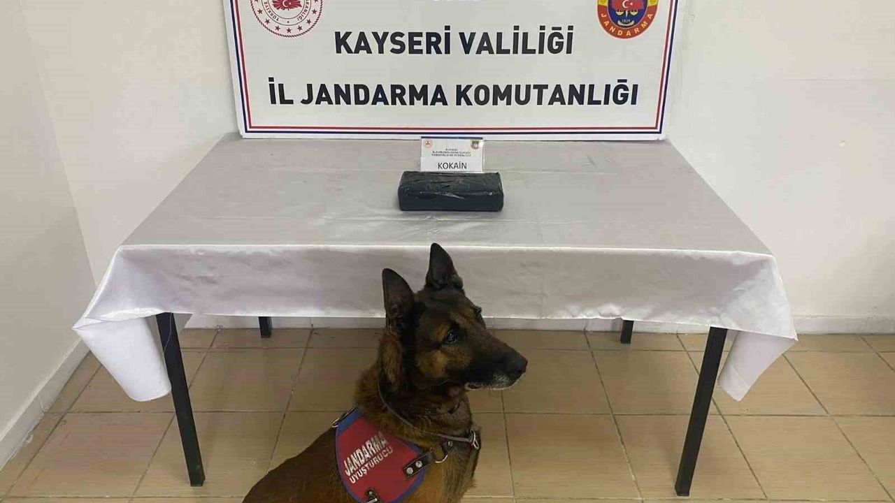 Vali Çiçek’ten Jandarma Ekiplerine Takdir