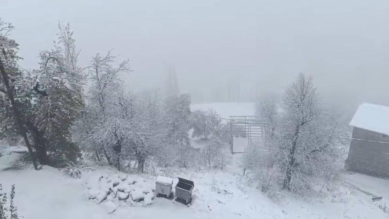 Van Bahçesaray'da Kar Yağışı Etkili Oldu