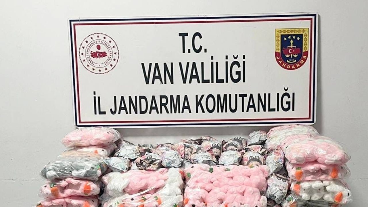 Van'da Gümrük Kaçağı Sigara ve Malzeme Operasyonu