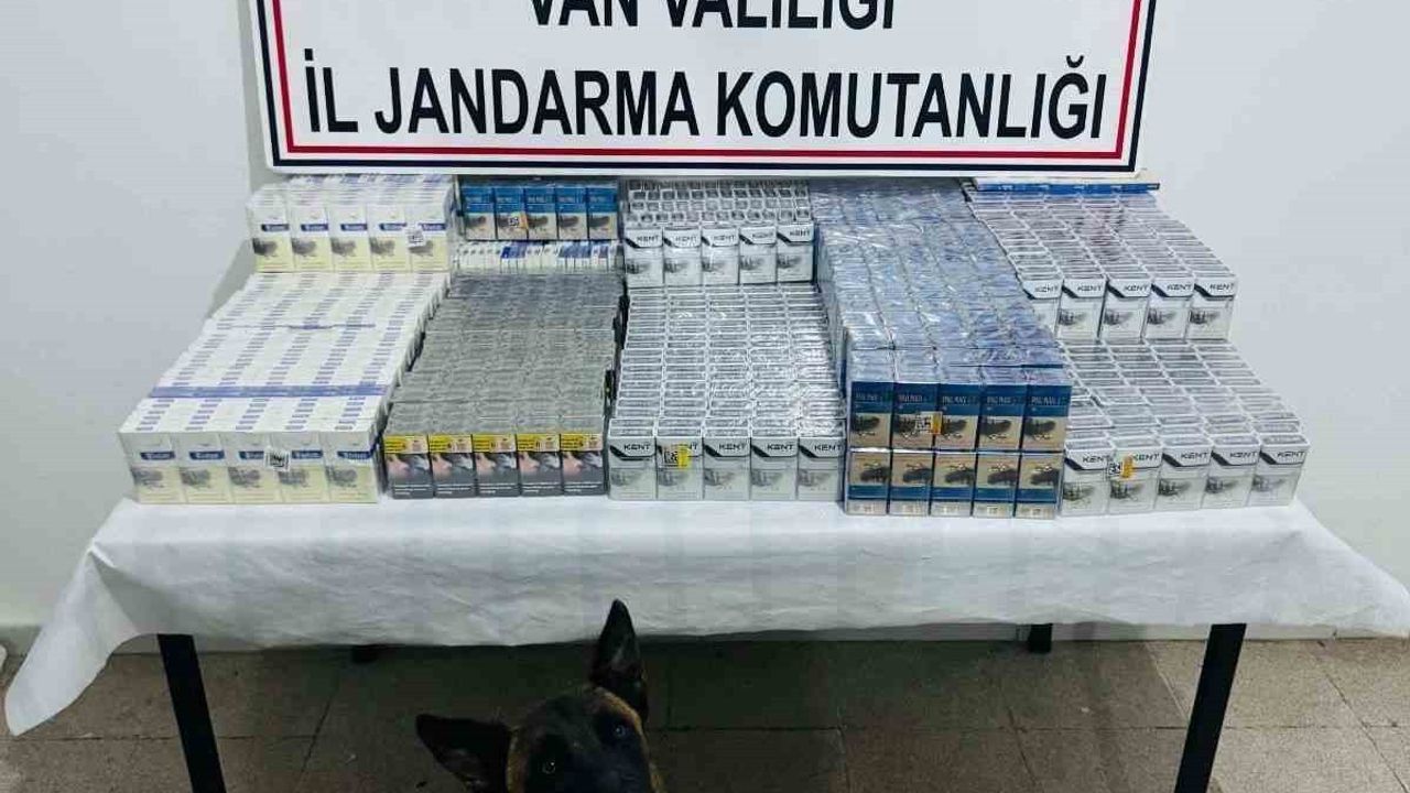 Van'da Kaçak Sigara Operasyonu: 3 Bin 75 Paket Ele Geçirildi