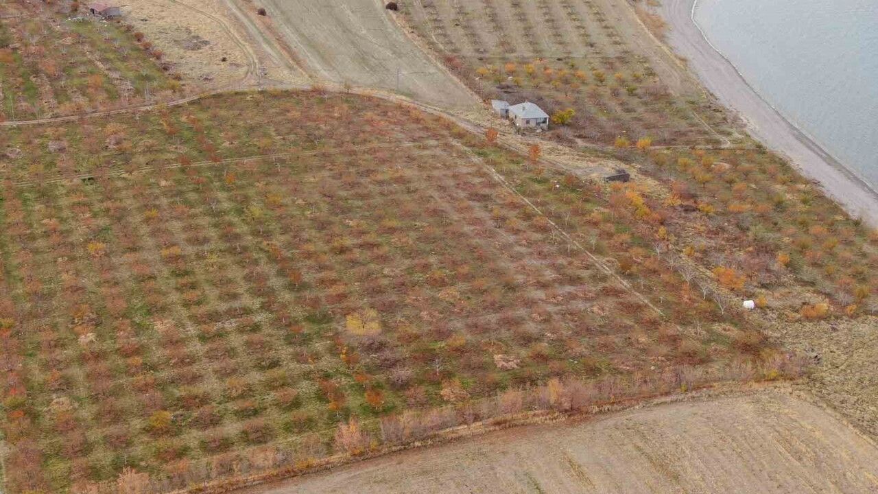 Van'da Sonbahar Renkleri: Doğanın ve Tarihin Buluşması
