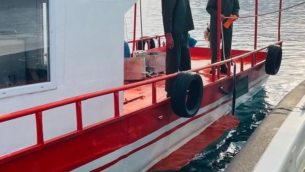 Van Gölü'nde Balıkçılık Denetimi