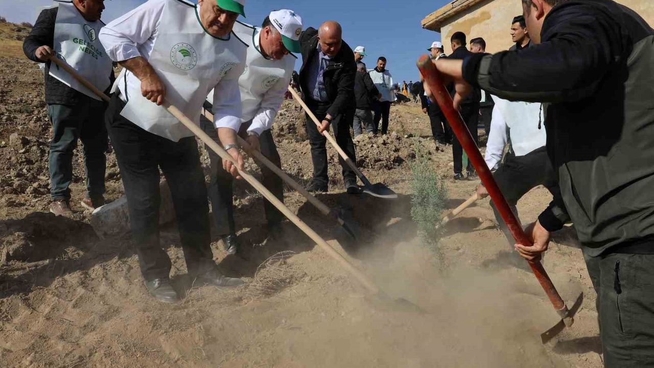 Yahyalı'da Milli Ağaçlandırma Günü Etkinliği