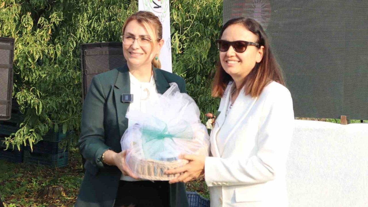 Yalova'nın Coğrafi İşaretli Kivisinde Hasat Sevinci