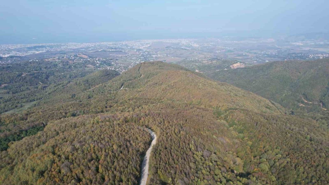 Yalova Ormanlarında Sonbahar Güzellikleri