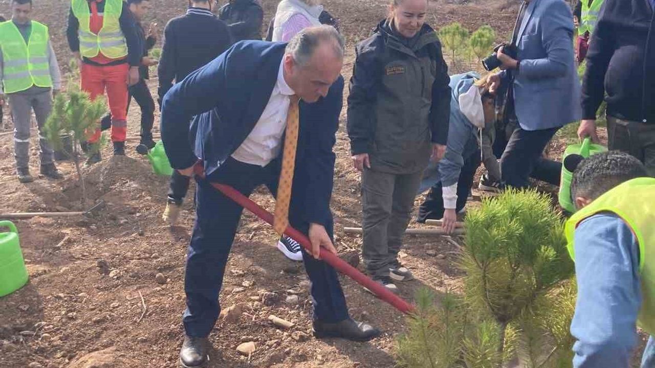 Yatağan'da Fidan Dikimi Etkinliği