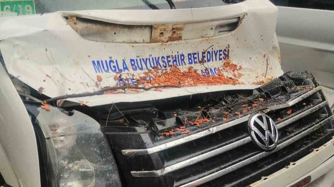 Yatağan'da Seyir Halindeki Minibüsün Üzerine Ağaç Devrildi