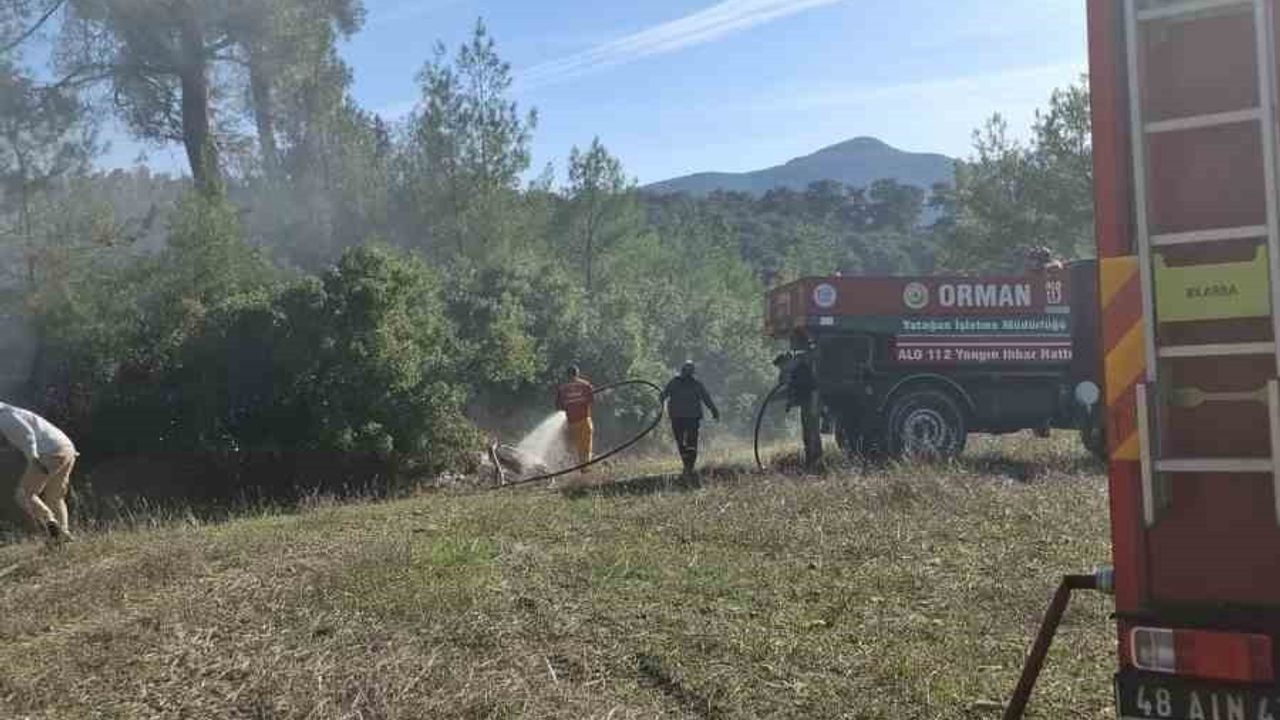 Yatağan'daki Yangınlar Hızla Kontrol Altına Alındı