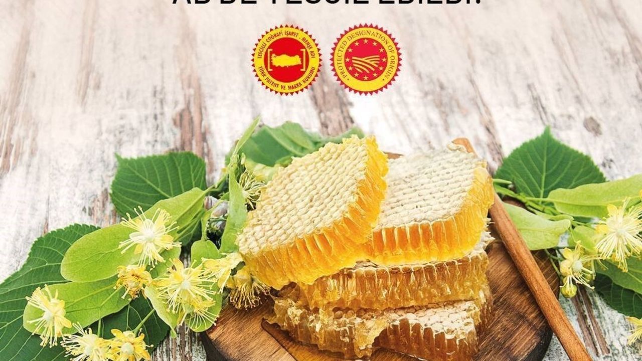 Yenice Ihlamur Balı Avrupa Birliği'nde Tescillendi