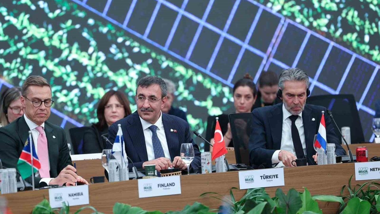 Yenilenebilir Enerjide Türkiye'nin Hedefleri