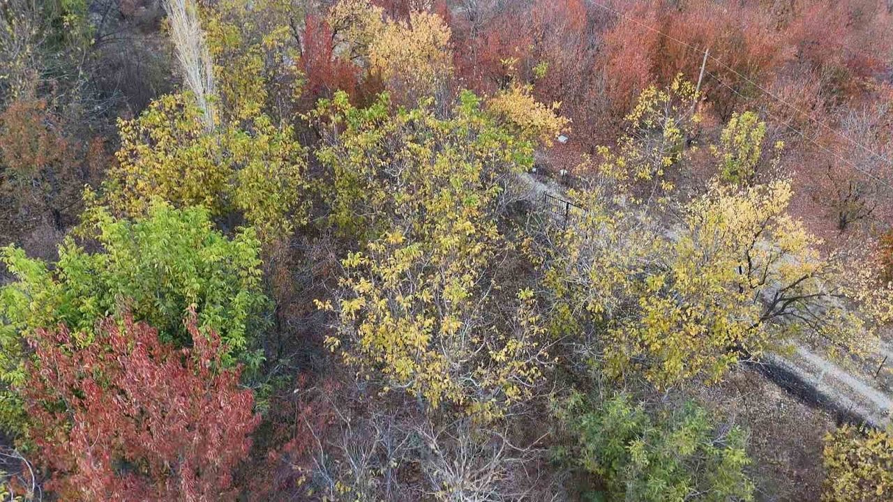 Yeşilyurt'ta Sonbahar Renkleri