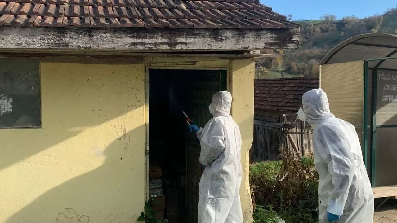 Yığılca'da Kahverengi Kokarca ile Mücadele Devam Ediyor