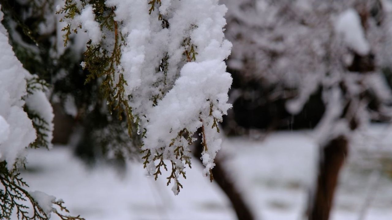 Yozgat'ta Mevsimin İlk Karı Yağdı