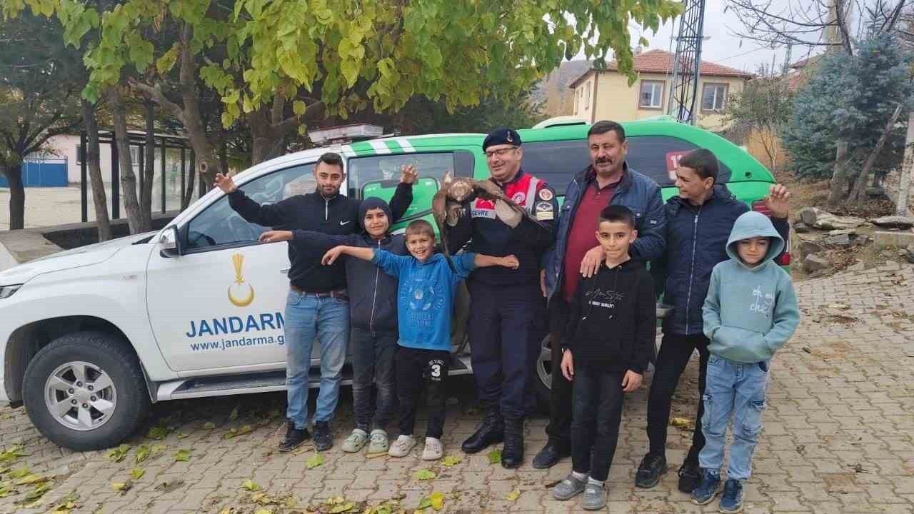 Yozgat'ta Yaralı Kızıl Şahin Koruma Altına Alındı