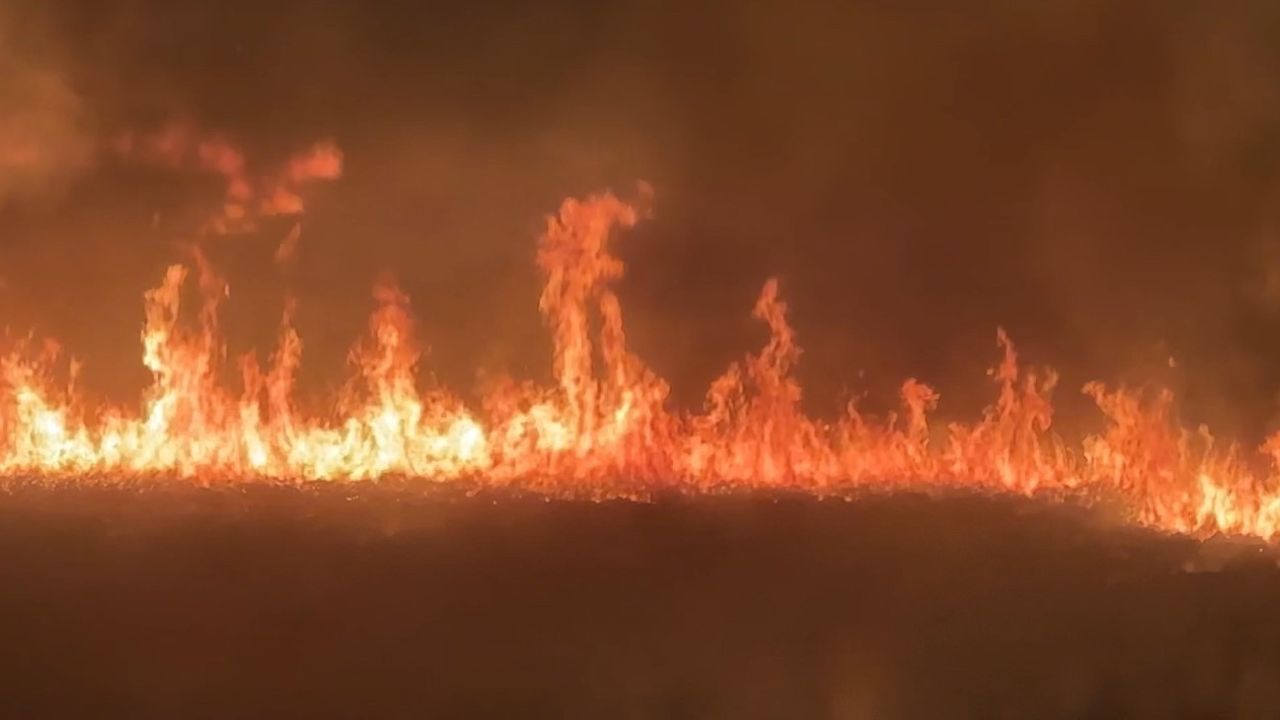 Yüksekova'daki Nehil Sazlığı'nda Yangın Tehlikesi