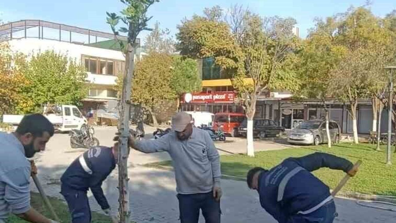 Yunusemre'de Ağaçlandırma Faaliyetleri Devam Ediyor