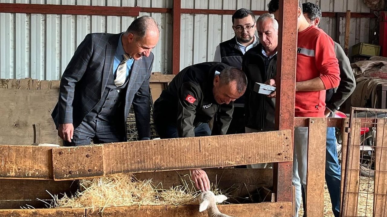 Yüzde 100 Hibe Desteği ile Hayvancılık Projesi Başladı