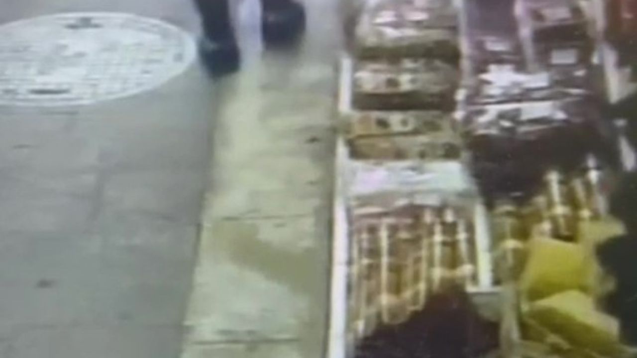 Zonguldak'ta Kuruyemişçilikte Ceviz Hırsızlığı Olayı