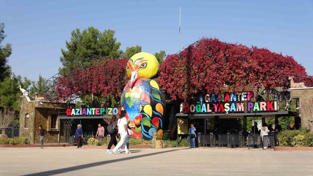 Zürafalar ve Bakıcıları Arasında Eşsiz Dostluk