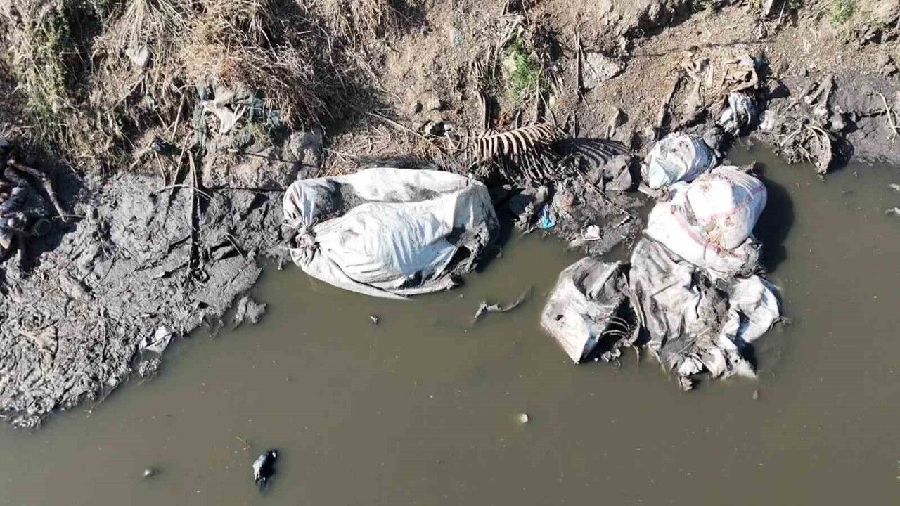 Adana'da Dere Yatağına Atılan Kalıntılara Tepki