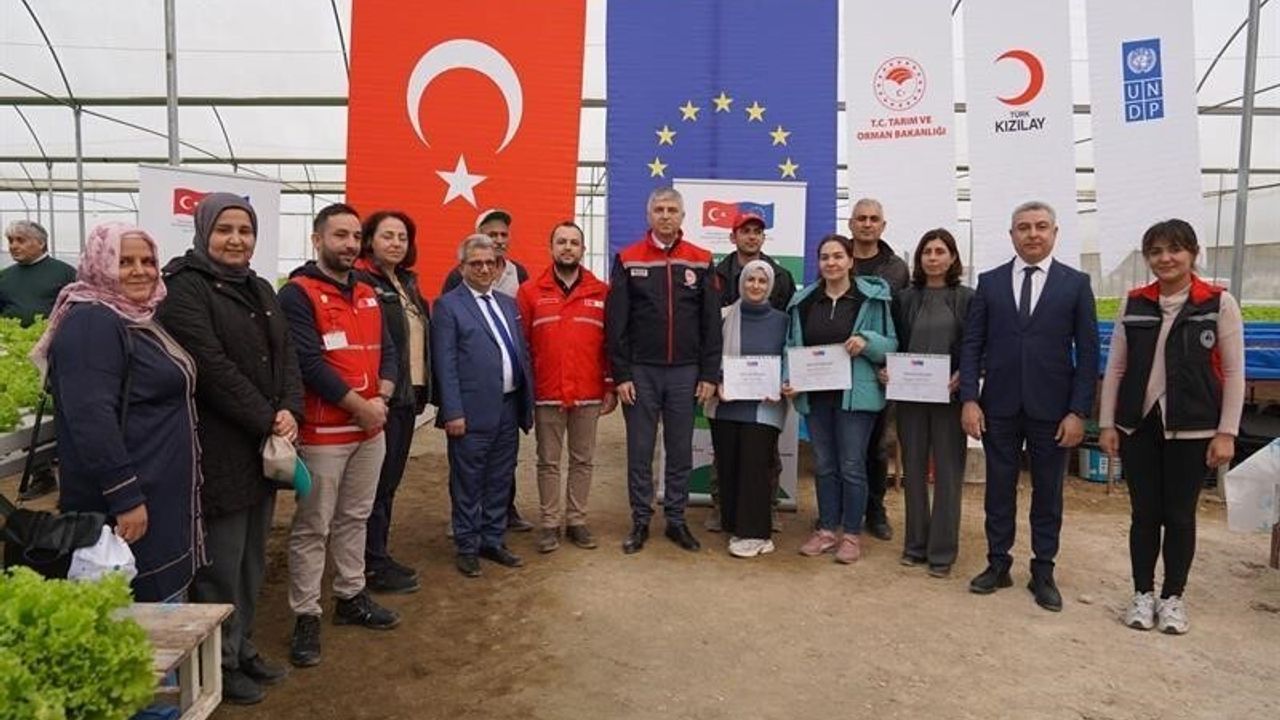 Adana'da İnnovatif Tarım Uygulaması: Topraksız Marul Yetiştiriciliği Başladı