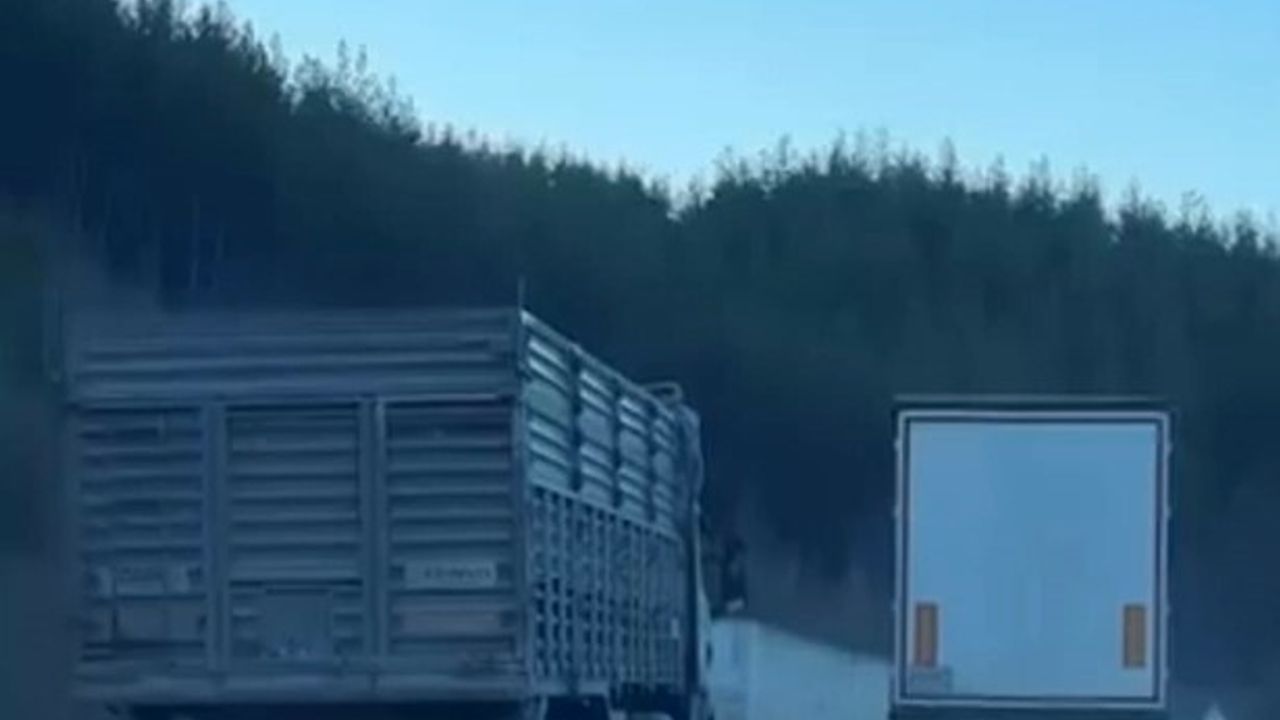 Adana'da Kamyonun Hatalı Sollama Manevrası Kazaya Neden Oluyordu