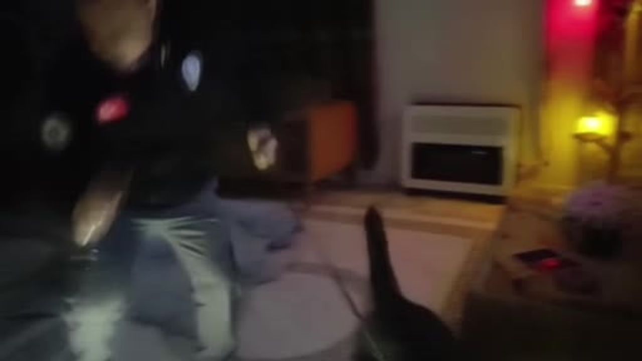 Adana'da Uyuşturucu Operasyonu: 156 Bin Hap Ele Geçirildi