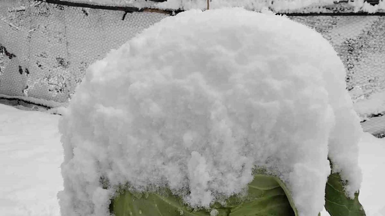Adana'nın Yüksek Kesimlerinde Kar Sevinci
