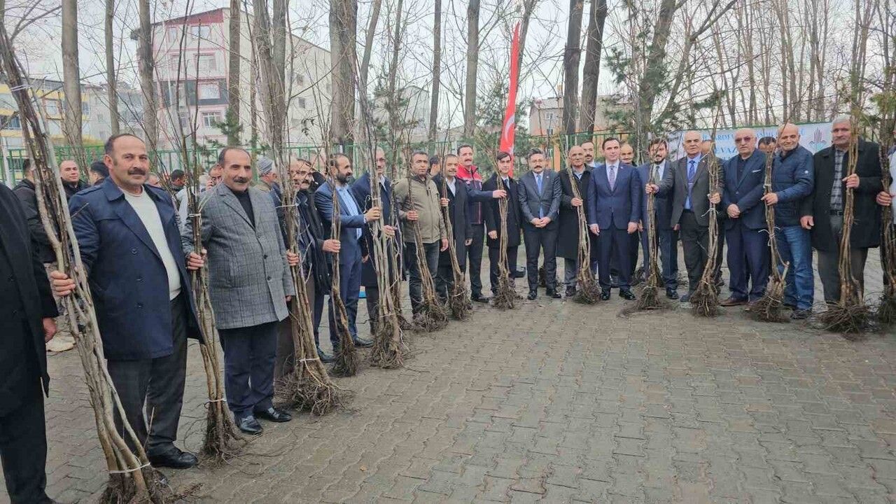 Adilcevaz'da 12 Bin Aşılı Ceviz Fidanı Dağıtımı