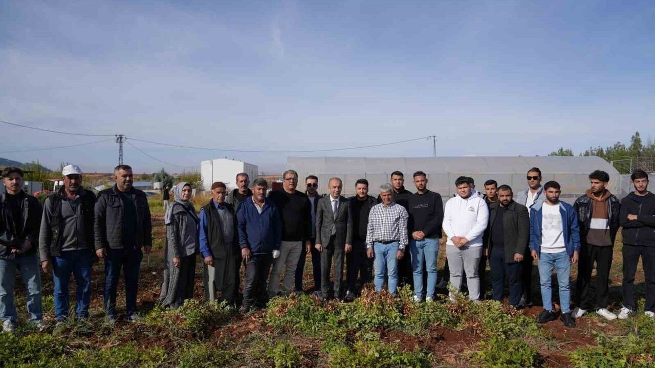 Adıyaman'da Yer Fıstığı Hasadı ve Sera Çalışmaları Tamamlandı