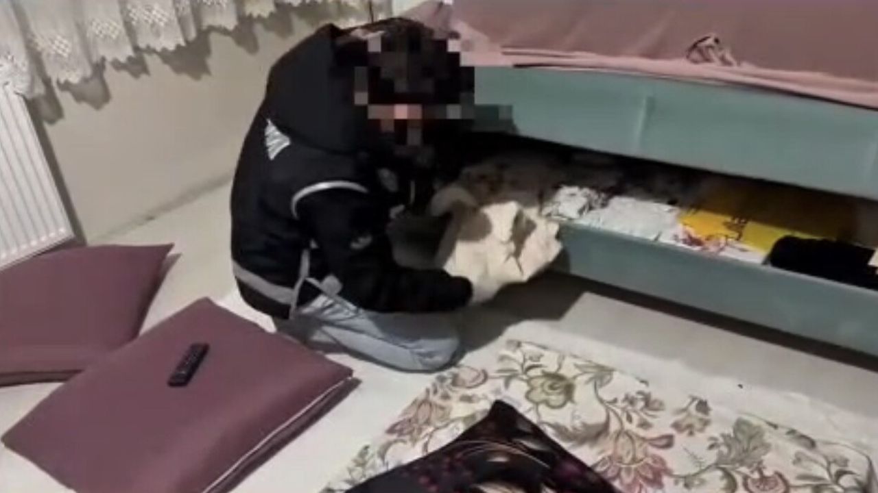 Ağrı'da Kaçakçılık Operasyonu: 1,5 Milyon TL Değerinde Ele Geçirilen Mallar