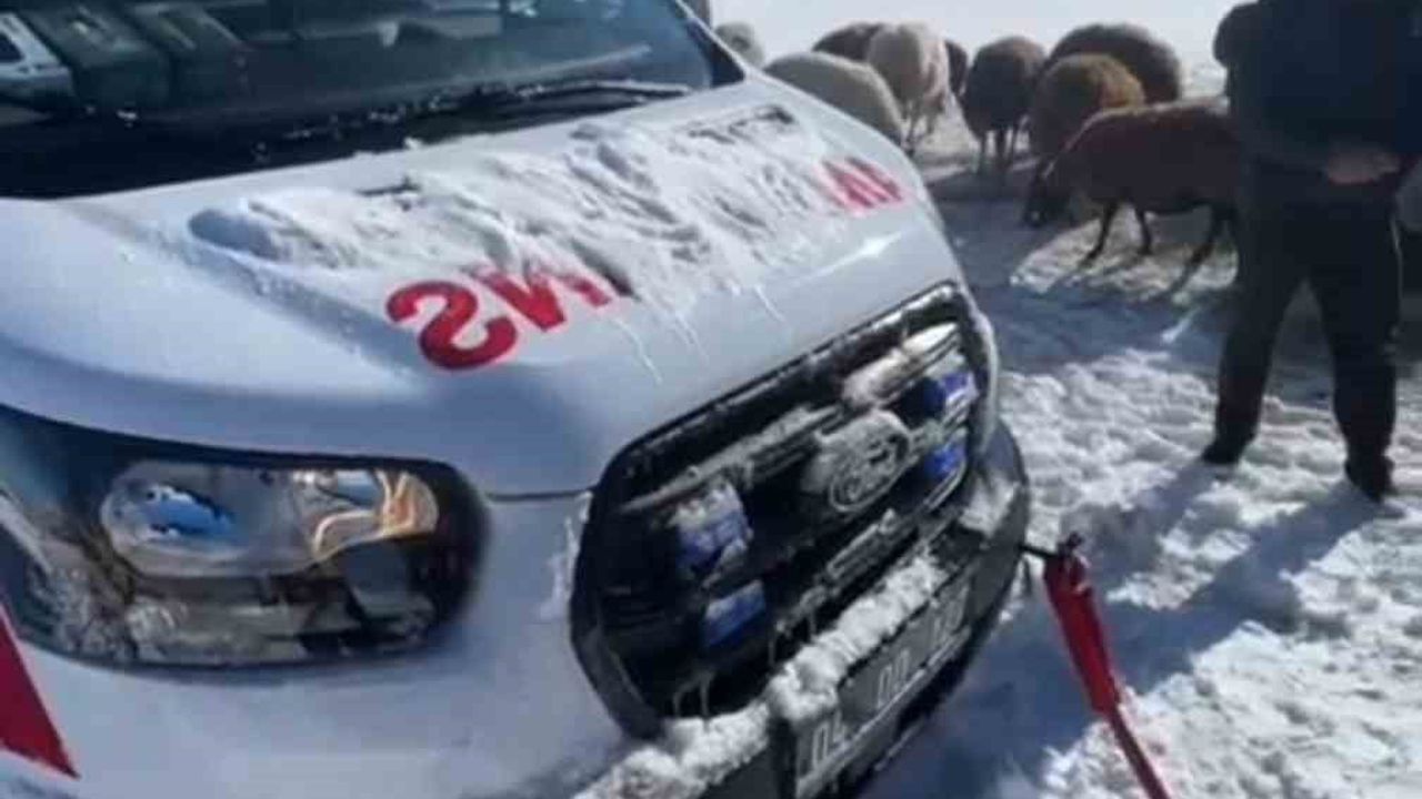 Ağrı'da Zorlu Kış Koşullarında Sağlık Ekiplerinin Başarılı Kurtarma Operasyonu