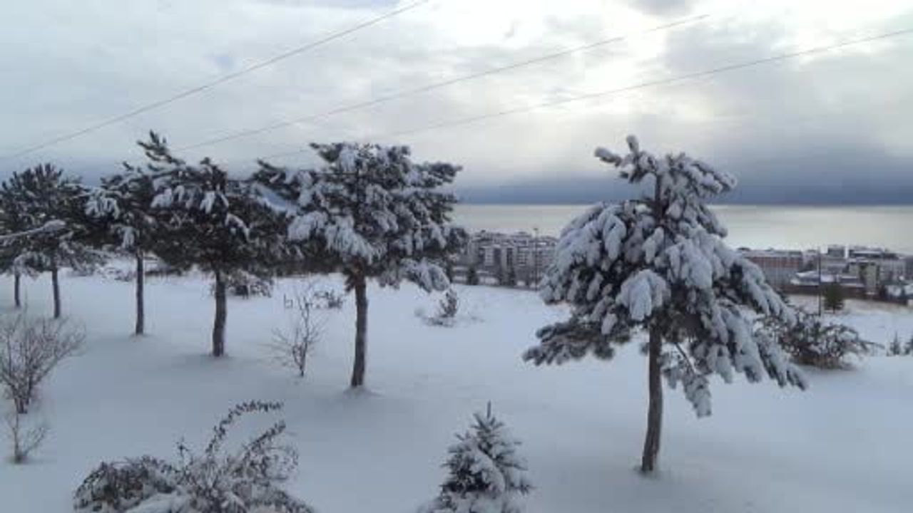 Ahlat’ta Kar Yağışı Hayatı Durma Noktasına Getirdi