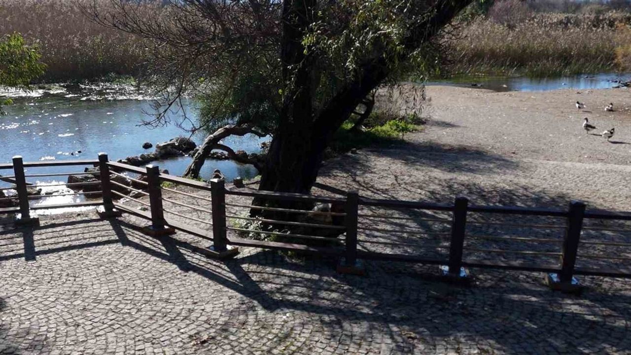 Akyaka Kadın Azmağı'nda Ekosistem Koruma Projesi Tamamlandı