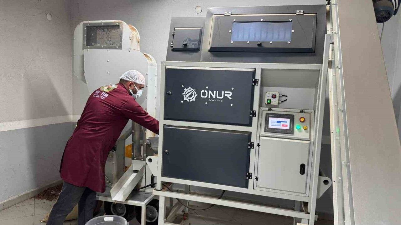 Alaplı’da Fındık Kavurma Tesislerinde Yoğun Talep