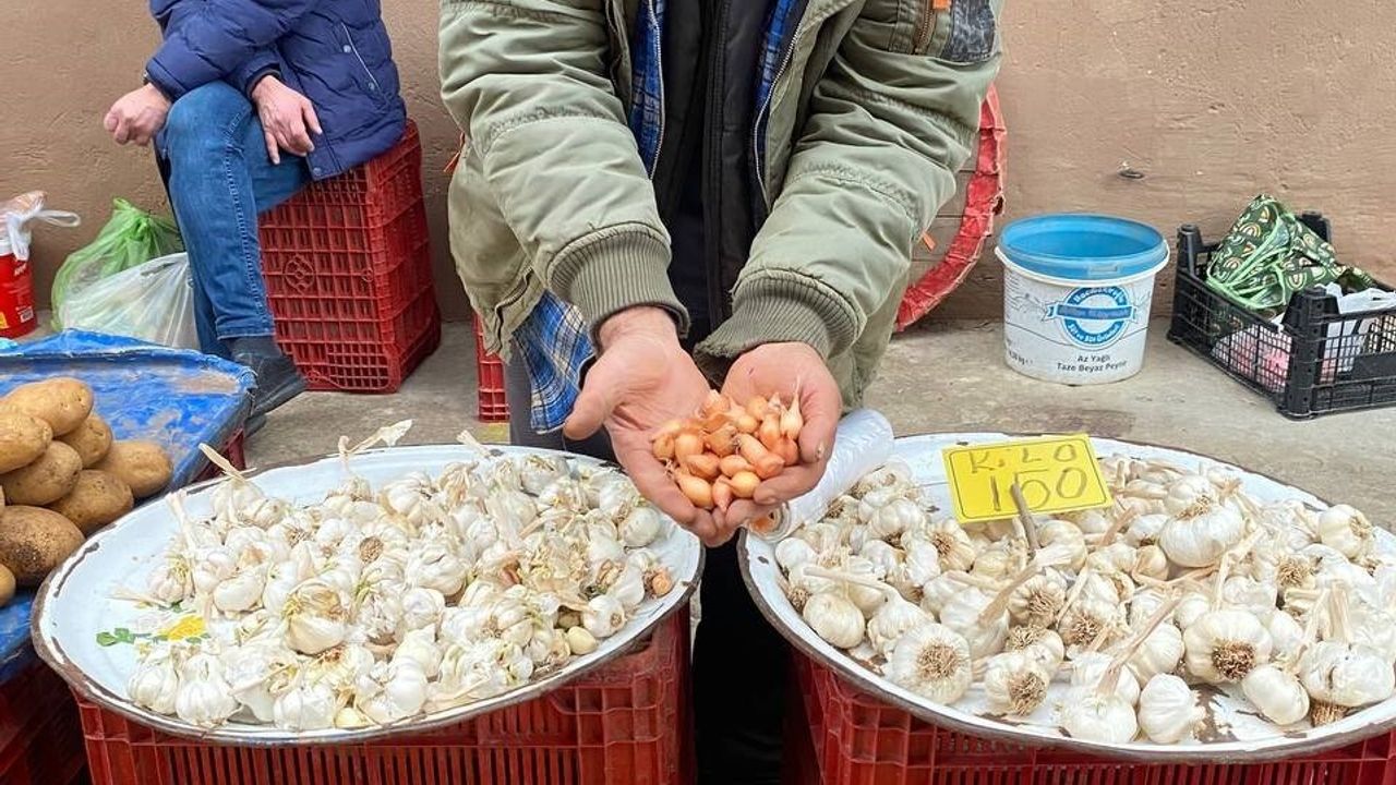 Alaşehir'de Soğan Üreticilerine Dikim Uyarısı