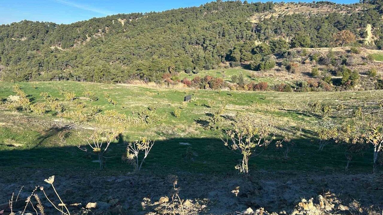 Ali Uzunırmak Tarım ile Yılların Yorgunluğunu Atıyor
