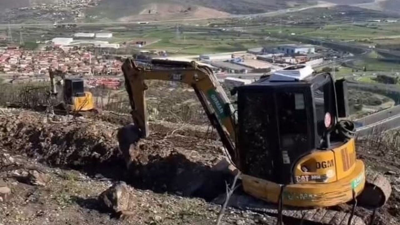 Aliağa ve Foça'daki Orman Alanları Yeniden Yeşerecek