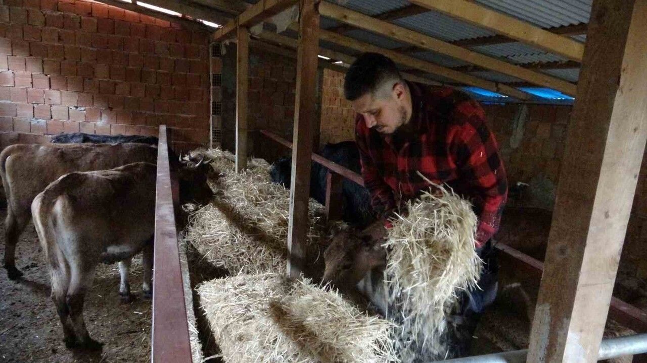 Almanya'dan Memleketine Dönüp Çoban Olmayı Seçti