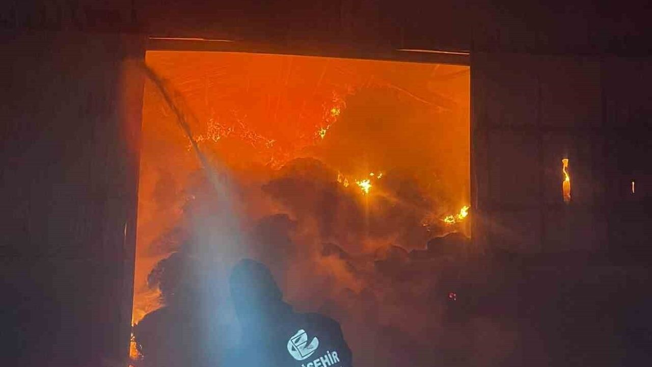 Alpu'da Gece Yangını: Çiftlik Kül Oldu