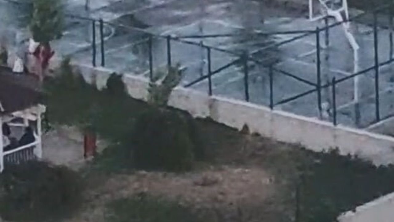 Ankara'da Kardeşlere Saldıran Pitbullun Sahibine Tutuklama