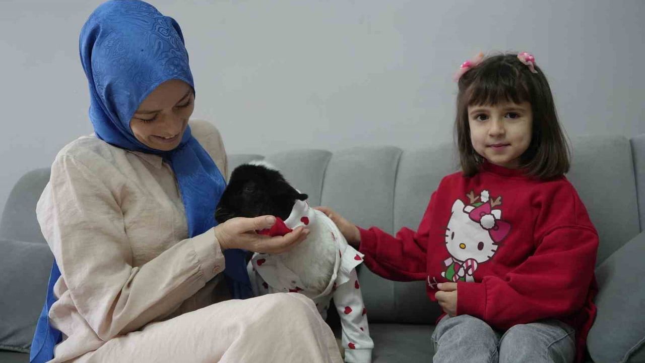 Annesiz Kuzusuyla Evini Şenlendiren Anne