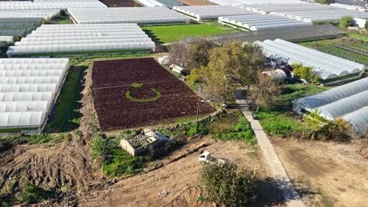 Antalya'da Çiftçilerden Türk Bayrağı Deseni